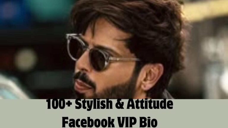 100+ Stylish & Attitude Facebook VIP Bio