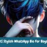 [Latest] Stylish WhatsApp Bio For Boys & Girls