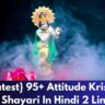 {Latest} 95+ Attitude Krishna Shayari In Hindi 2 Line