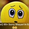 {Latest} 85+ Sorry Shayari In English 😢😢