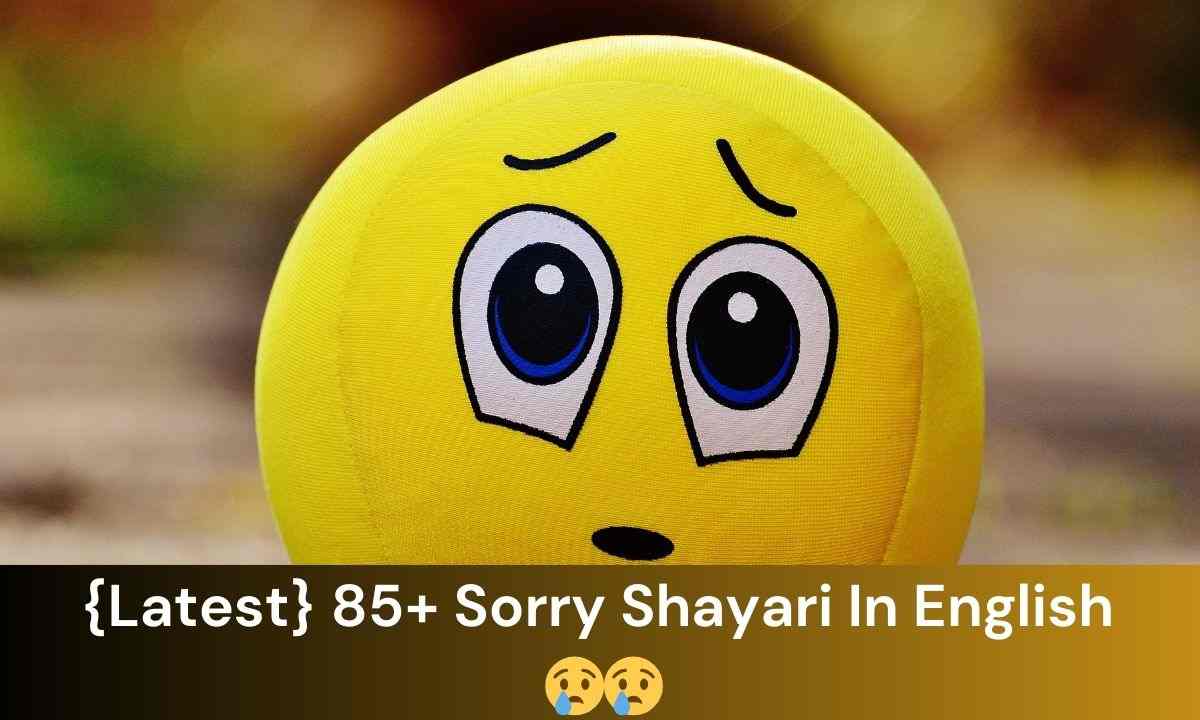 {Latest} 85+ Sorry Shayari In English 😢😢