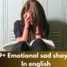 99+ Emotional sad shayari In english