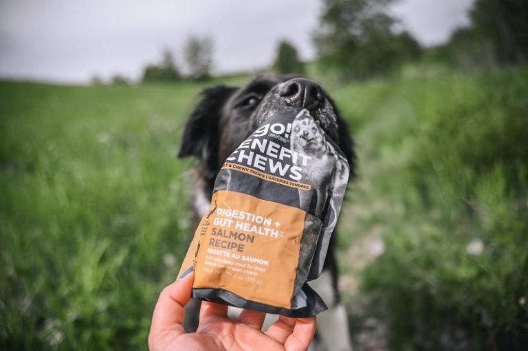 Sustainable Dog Treat Packaging That Speaks to Pet Parents
