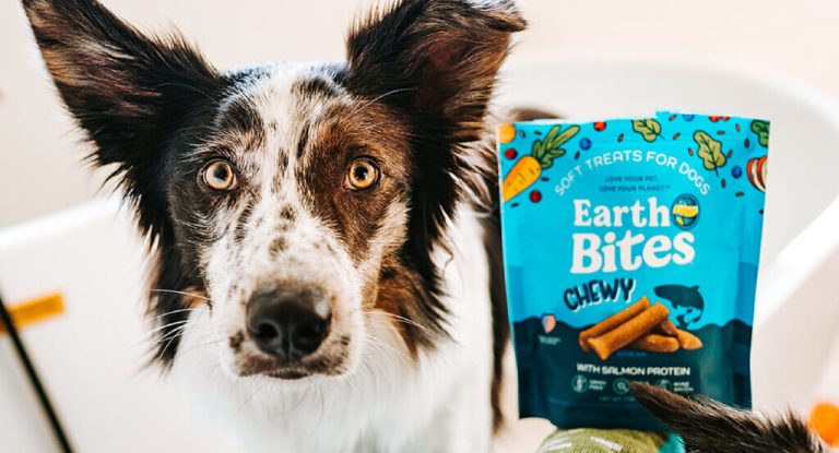 Treats, Grooming, and Lots of Love